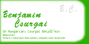 benjamin csurgai business card